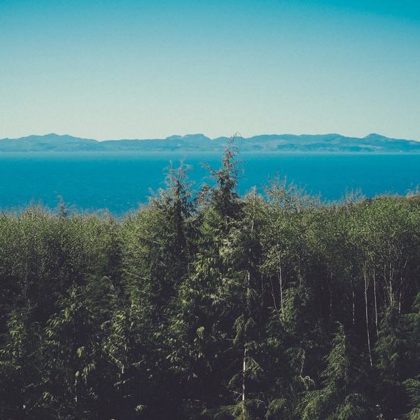 Vendor Pertama Store